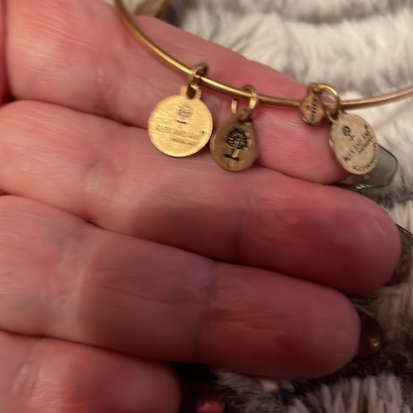 Alex and Ani 2014 made in USA. Fluer dDi Lis. Adjustable. - Picture 5 of 5